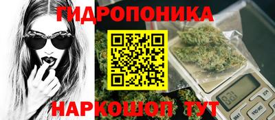 твердый Будённовск