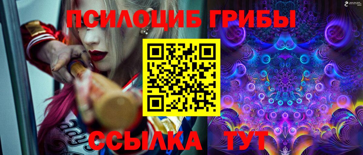 Галлюциногенные грибы Magic Shrooms  Вход с VPN  купить  сайты  Галлюциногенные грибы прущие грибы  Озёрск 