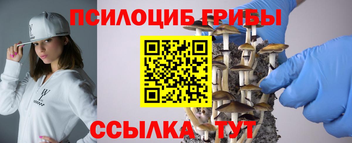 Галлюциногенные грибы Cubensis Озёрск